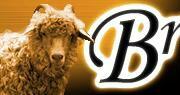 the sheep